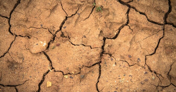 On the Reductionism of a Fragmenting World image