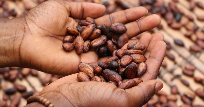 Is Chocolate a Health Food? image