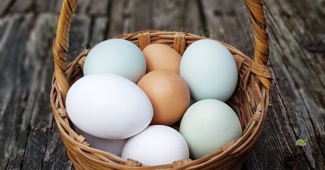 Should We Give Fats a Break? image