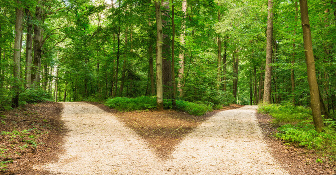 Agency & Vaccine Mandates image