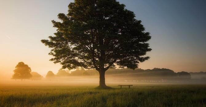 Healing before Wayfaring image