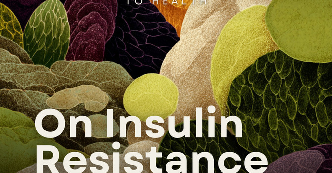On Insulin Resistance